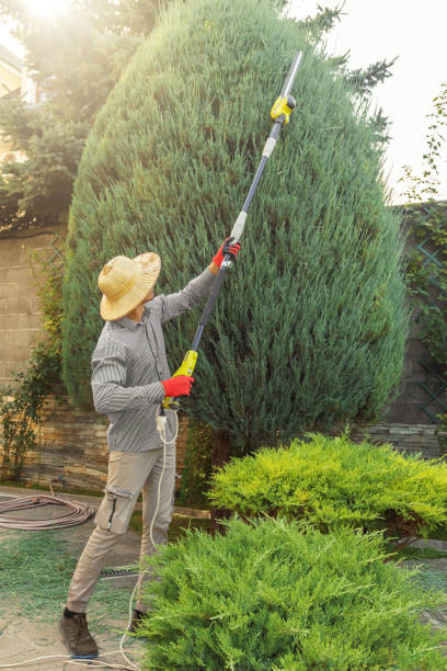 Artificial Turf Installation in Mascoutah, IL